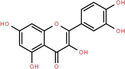 New molecular mechanisms of quercetin in improving recurrent spontaneous abortion based on in-depth network pharmacology and molecular docking